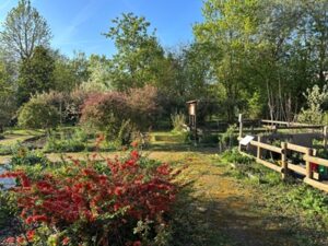 317840v 6cdc77c0886fe3fc9bb588171225ffcd mkk