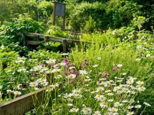 318722v 88f8b0b145c9cdfc51eb87816c7d119d mkk