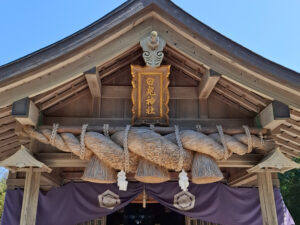 318728p 580c07c8a21a5f0de1af67f22cdb529b mkk