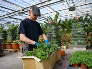 318780v e00cf33acc0812959addb4dc69ea7e72 mkk