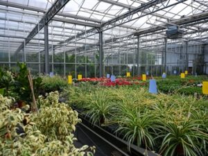 318783v 111deb61a458dbda0b275dc0da580d7c mkk