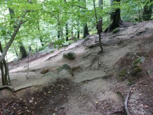 abgerutschter hang mit erosionsfolgen 202b7d509b93d53a4da4cc75f7467b64 mkk