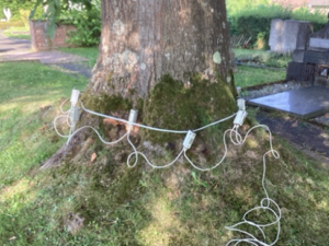 bild1 fcd4cdb2ff9aeabaf0fdb4131c71546a mkk