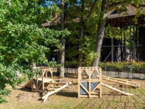 dsc7532 klein 7669190c0a8e930e4b3b343db952a3bd mkk