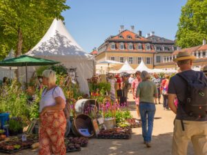 gartenfest hanau promenade min 01318091d31085b99c0e3b9e110da26a mkk