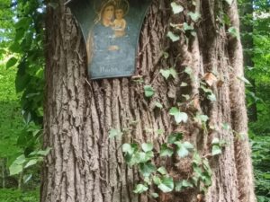 photo 2025 08 24 16 03 01 d3cf8822a3515d31181cf391b8739d3d mkk