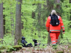 photo 2026 03 03 08 04 24 6237527f2a86bba33ce777809248c24a mkk photo 2026 03 03 08 04 24 6237527f2a86bba33ce777809248c24a mkk