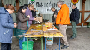pm ogv eichen nidderau veredelungskurs 2026 bild 4f1c61023805c034427043f3e0d6c95e mkk 950x534