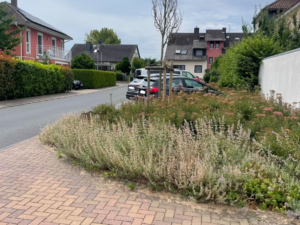 mkk echo gemeindevertretung 3 jwn 20e328a539789903a4509b95585a643a mkk